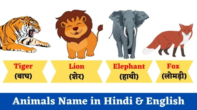 Animals Name in Hindi & English With Picture | सभी जानवरों का नाम हिंदी व इंग्लिश में जानिए