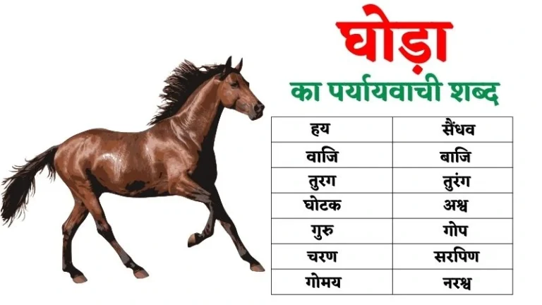 घोड़ा का पर्यायवाची शब्द | Ghoda Ka Paryayvachi Shabd in Hindi