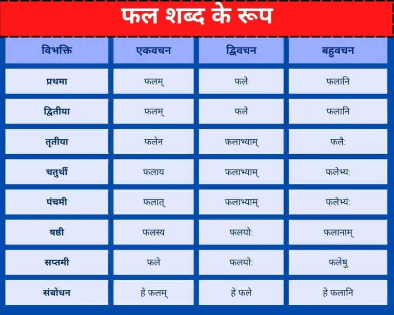 फल शब्द रूप | Fal Shabd Roop