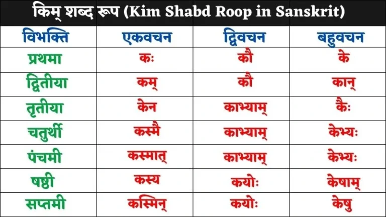 किम् शब्द रूप | Kim Shabd Roop