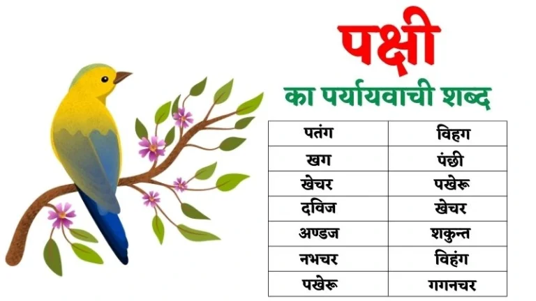 पक्षी का पर्यायवाची शब्द | Pakshi Ka Paryayvachi Shabd in Hindi
