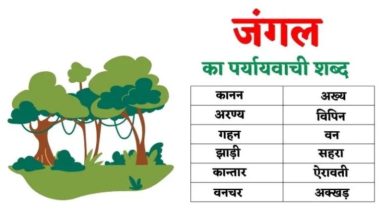 जंगल का पर्यायवाची शब्द | Jangal Ka Paryayvachi Shabd in Hindi