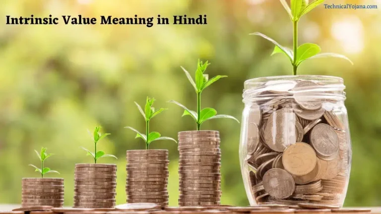 Intrinsic Value Meaning in Hindi | इन्ट्रिंसिक वैल्यू क्या है? कैसे निकालते हैं पूरी जानकारी