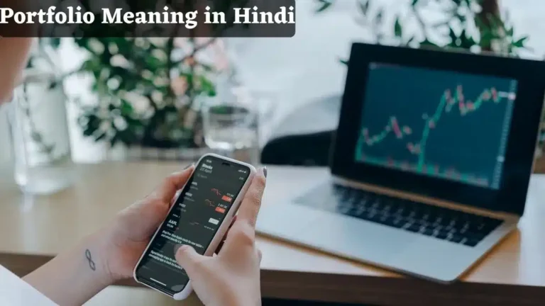 Portfolio Meaning in Hindi | पोर्टफोलियो क्या है?