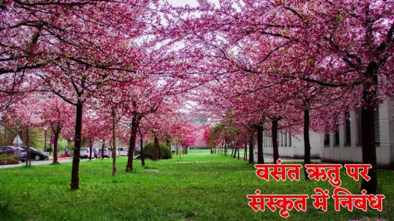 वसंत ऋतु पर संस्कृत में निबंध | Sanskrit Essay On Vasant Ritu