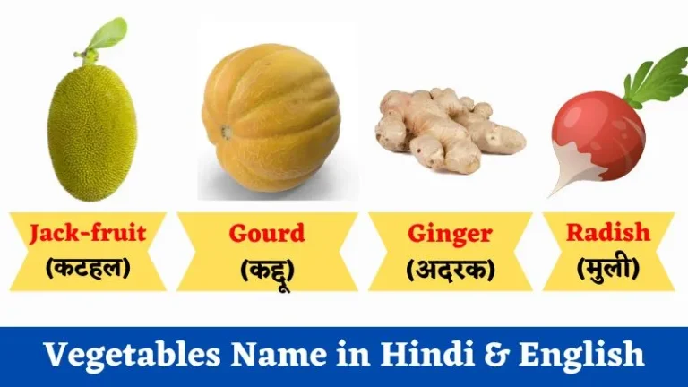 Vegetables Name in Hindi & English | सब्जियों का नाम जानिए अंग्रेजी व हिंदी में