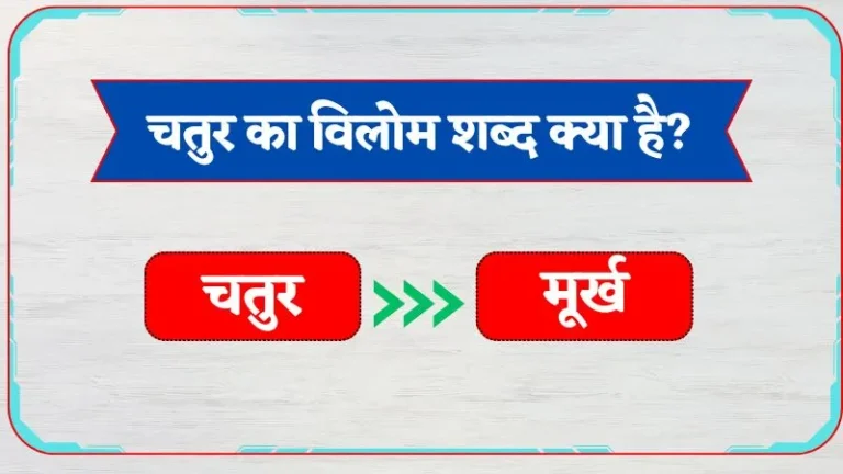 Chatur Ka Vilom Shabd | चतुर का विलोम शब्द क्या है?