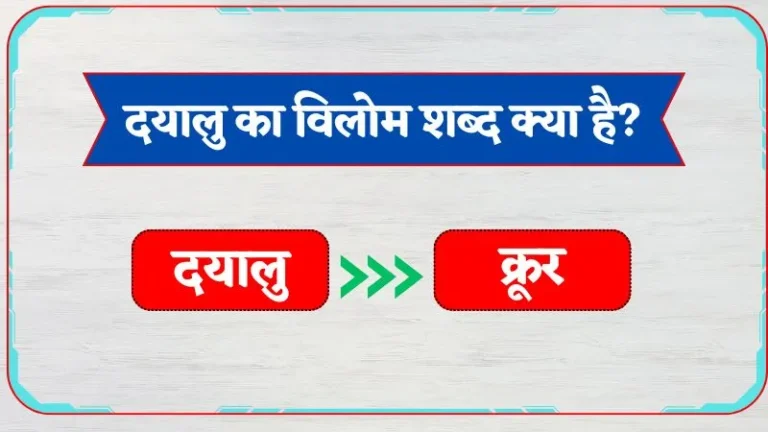Dayalu Ka Vilom Shabd | दयालु का विलोम शब्द क्या है?