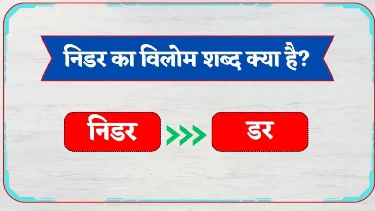 Nidar Ka Vilom Shabd | निडर का विलोम शब्द क्या है?