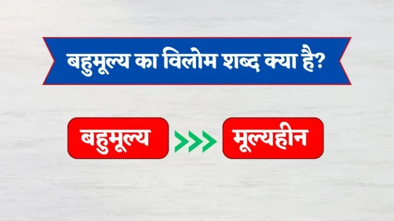 Bahumulya Ka Vilom Shabd | बहुमूल्य का विलोम शब्द क्या है?