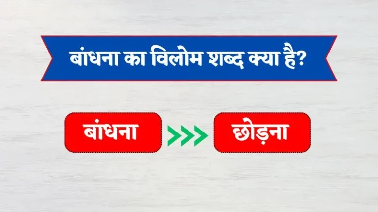 Bandhana Ka Vilom Shabd | बांधना का विलोम शब्द क्या है?