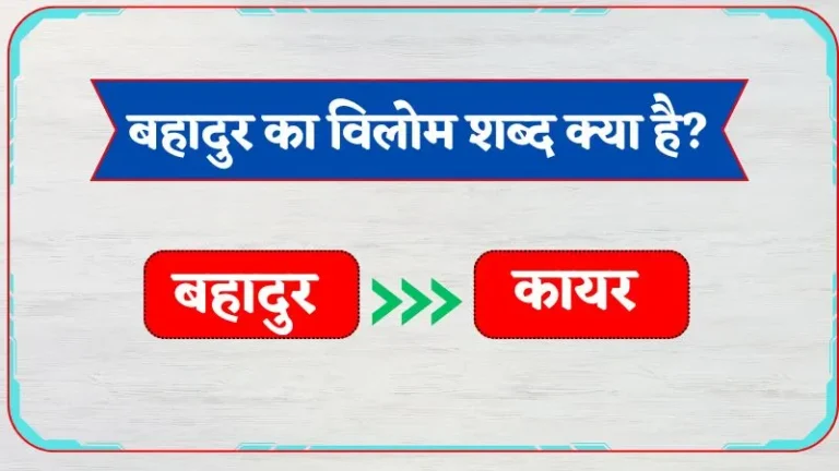 Bahadur Ka Vilom Shabd | बहादुर का विलोम शब्द क्या है?