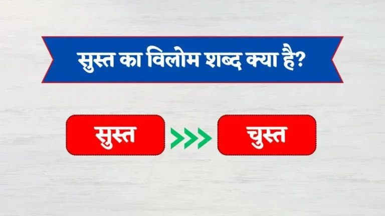 Mithai Ka Vilom Shabd | मिठाई का विलोम शब्द क्या है?