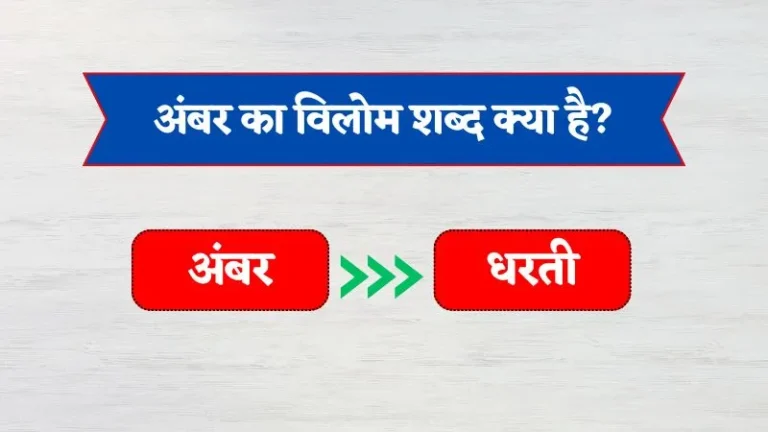 Ambar Ka Vilom Shabd | अंबर का विलोम शब्द क्या है?