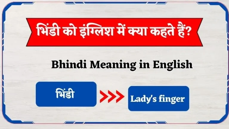 भिंडी को इंग्लिश में क्या कहते हैं? | Bhindi Ko English Mein Kya Kehte Hain