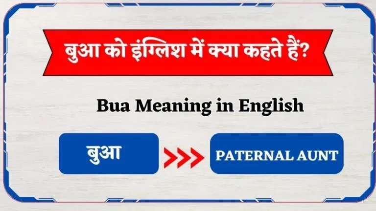 बुआ को इंग्लिश में क्या कहते हैं? | Bua Ko English Mein Kya Kehte Hain