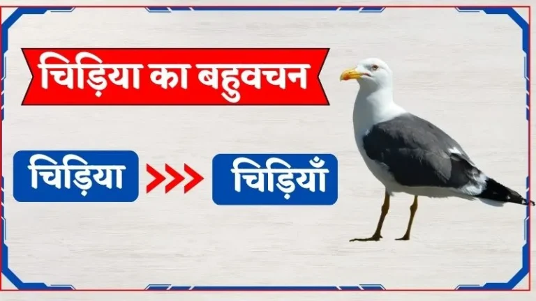Chidiya Ka Bahuvachan | चिड़िया का बहुवचन जानिए