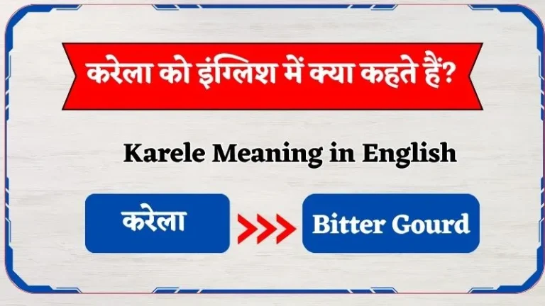 करेला को इंग्लिश में क्या कहते हैं? | Karele Ko English Mein Kya Kahte Hain