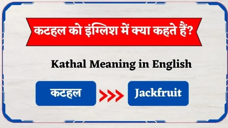 कटहल को इंग्लिश में क्या कहते हैं? | Kathal Ko English Mein Kya Kahte Hain