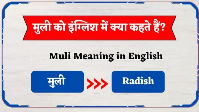 मुली को इंग्लिश में क्या कहते हैं? | Muli Ko English Mein Kya Kahte Hain