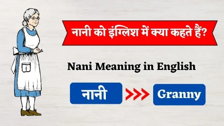 नानी को इंग्लिश में क्या कहते हैं? | Nani Ko English Mein Kya Kahte Hain