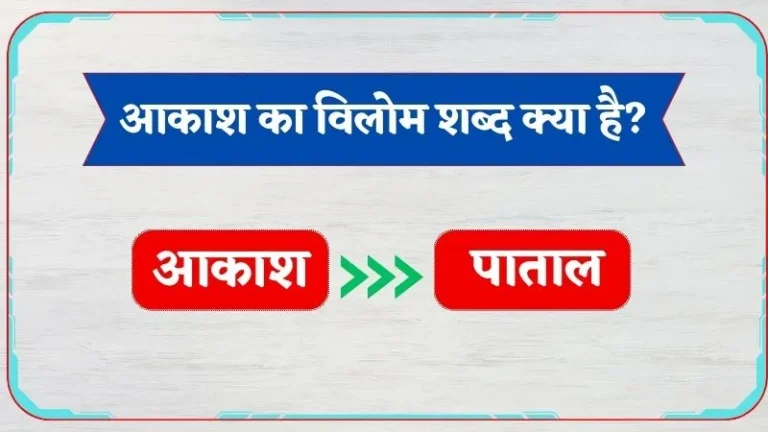 CHANEL किस देश की कंपनी है और इसका मालिक कौन है-