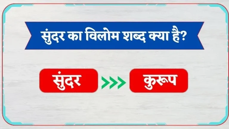 Sundar Ka Vilom Shabd | सुन्दर का विलोम शब्द क्या है?